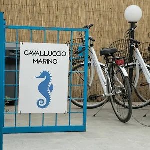 Appartamento Cavalluccio Marino, Favignana